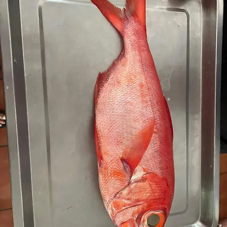 Olas Atico Penhouse With Terrace And Sea View, 2 Bedrooms * La Caleta (Tenerife)