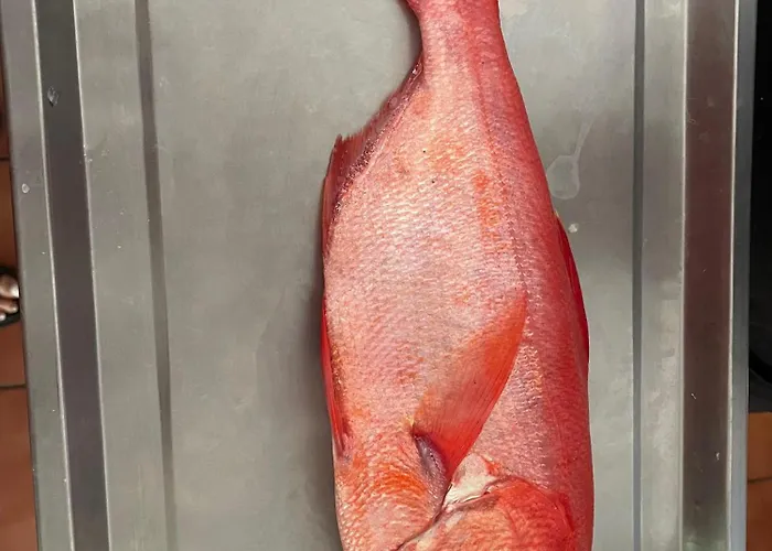 Olas Atico Penhouse With Terrace And Sea View, 2 Bedrooms * La Caleta (Tenerife)