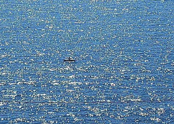 Lejlighed Olas Atico Penhouse With Terrace And Sea View, 2 Bedrooms